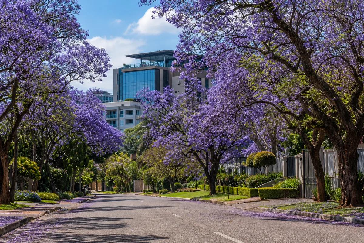 Leafy streets with premium homes and office properties in Brooklyn, within HoneySucker's Pretoria Central septic service coverage